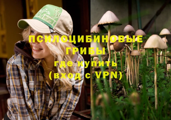spice Нефтекумск