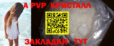 jwh Кингисепп
