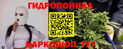 jwh Кингисепп