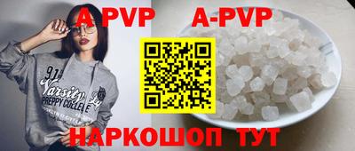 jwh Кингисепп