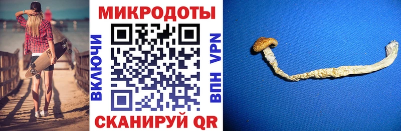 Галлюциногенные грибы GOLDEN TEACHER блэк спрут ONION Сорочинск