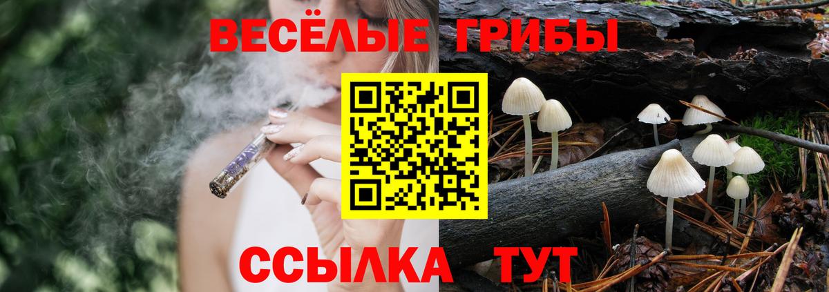 Псилоцибиновые грибы прущие грибы Сорочинск