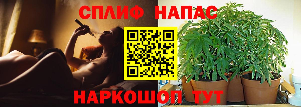 Канабис White Widow  Вход с VPN  Сорочинск  Бошки Шишки White Widow  Бошки Шишки планчик 